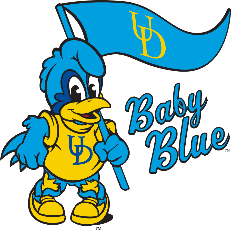 Delaware Blue Hens 2009-2018 Mascot Logo t shirts iron on transfers
